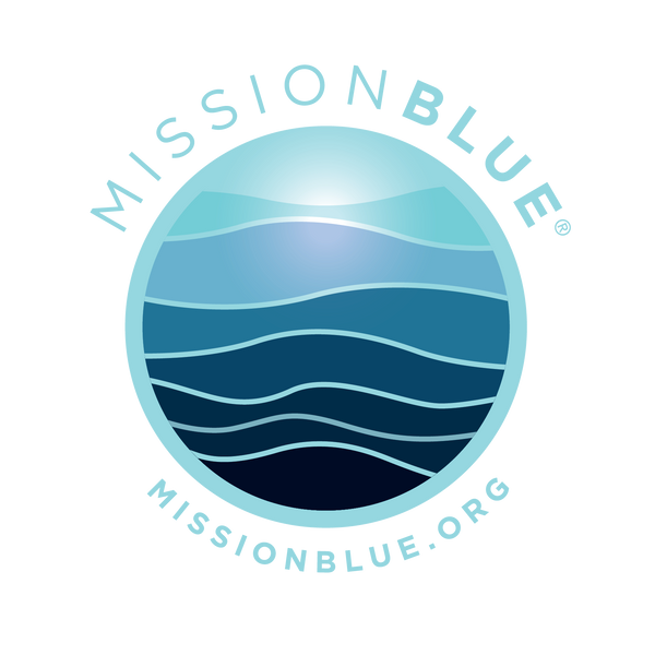 Mission Blue Gifts