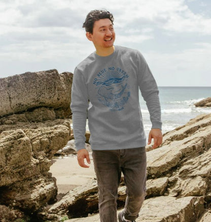 Men's Light Sweatshirt – No Blue No Green
